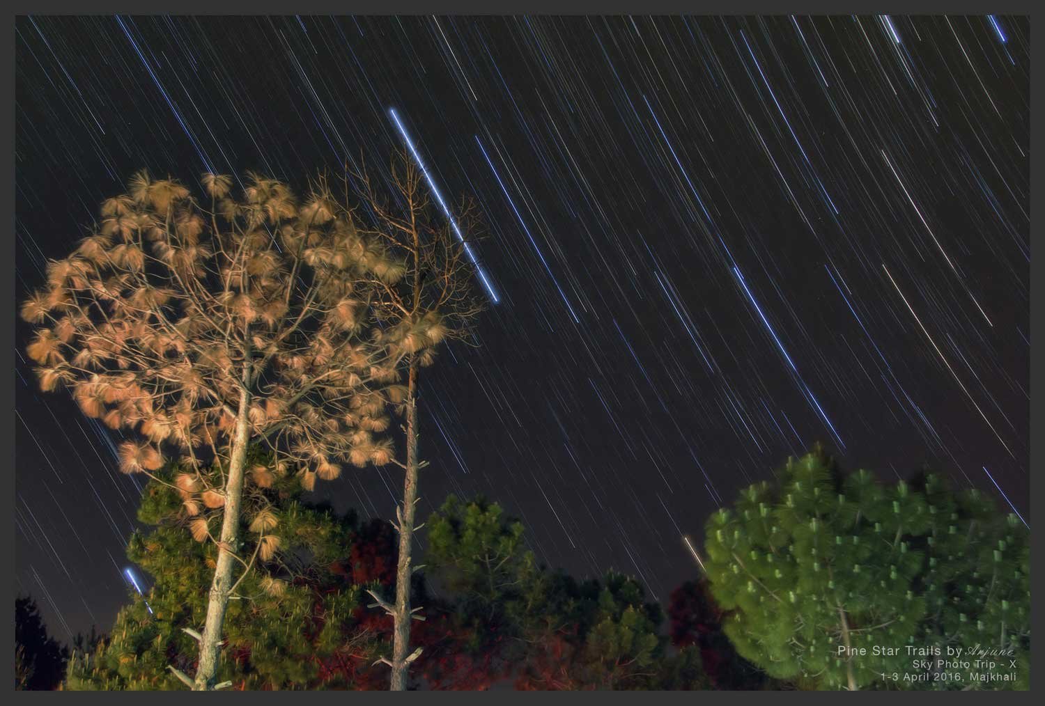 2016-04-02-SPTX-Pine-Star-Trails