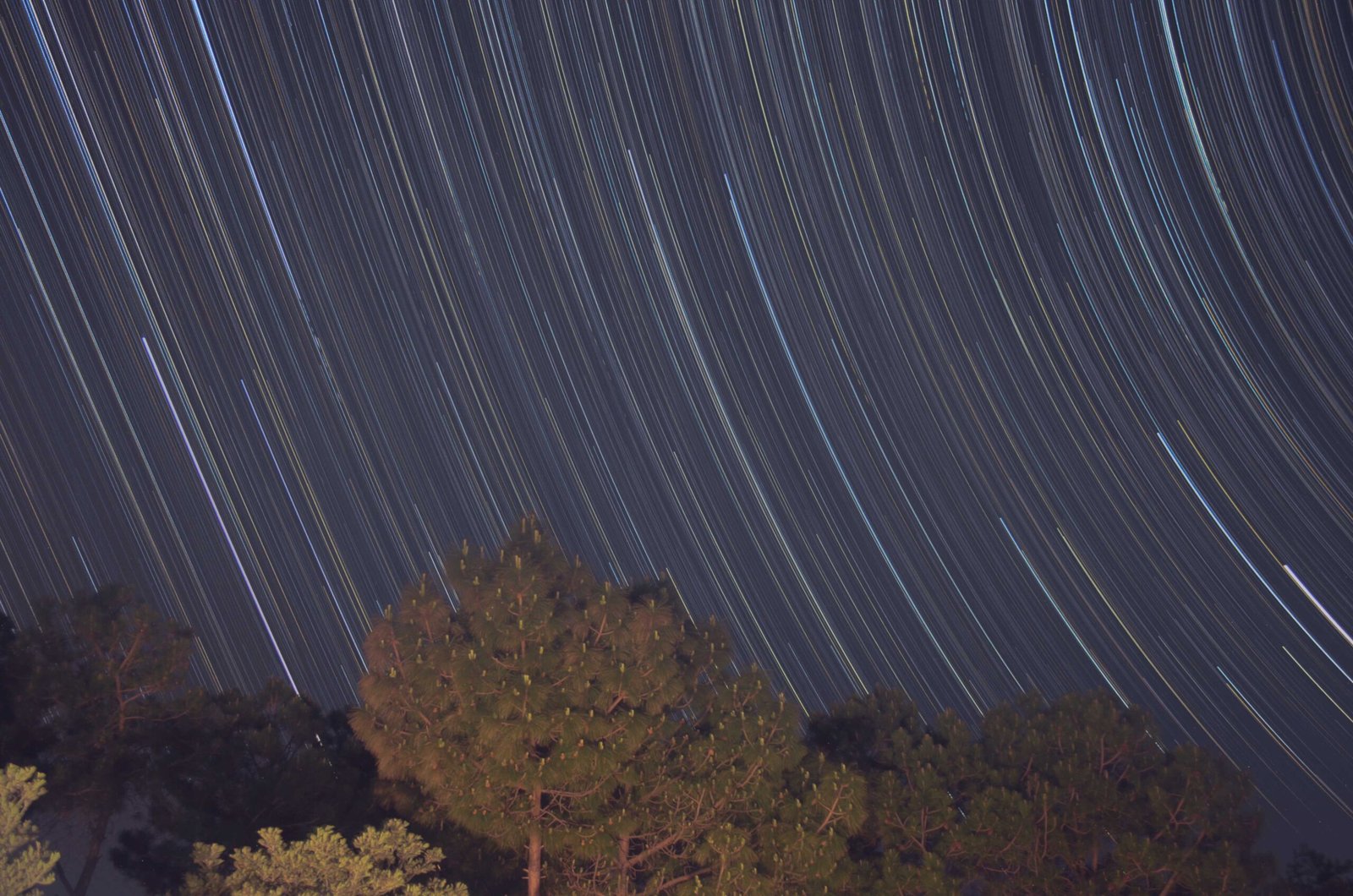 RK-Pine-and-Startrails