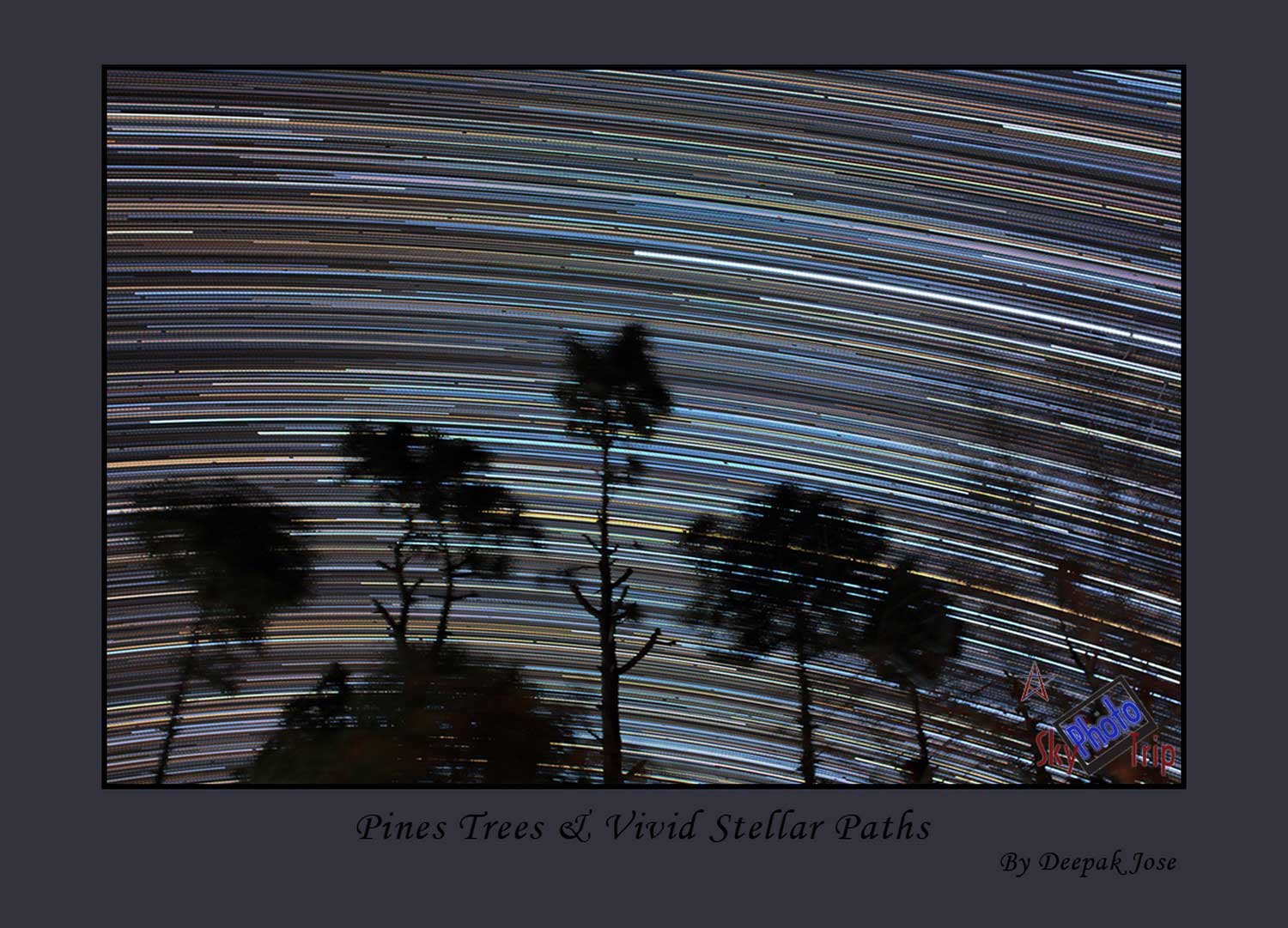 Trees-Startrails-Deepak-Jose